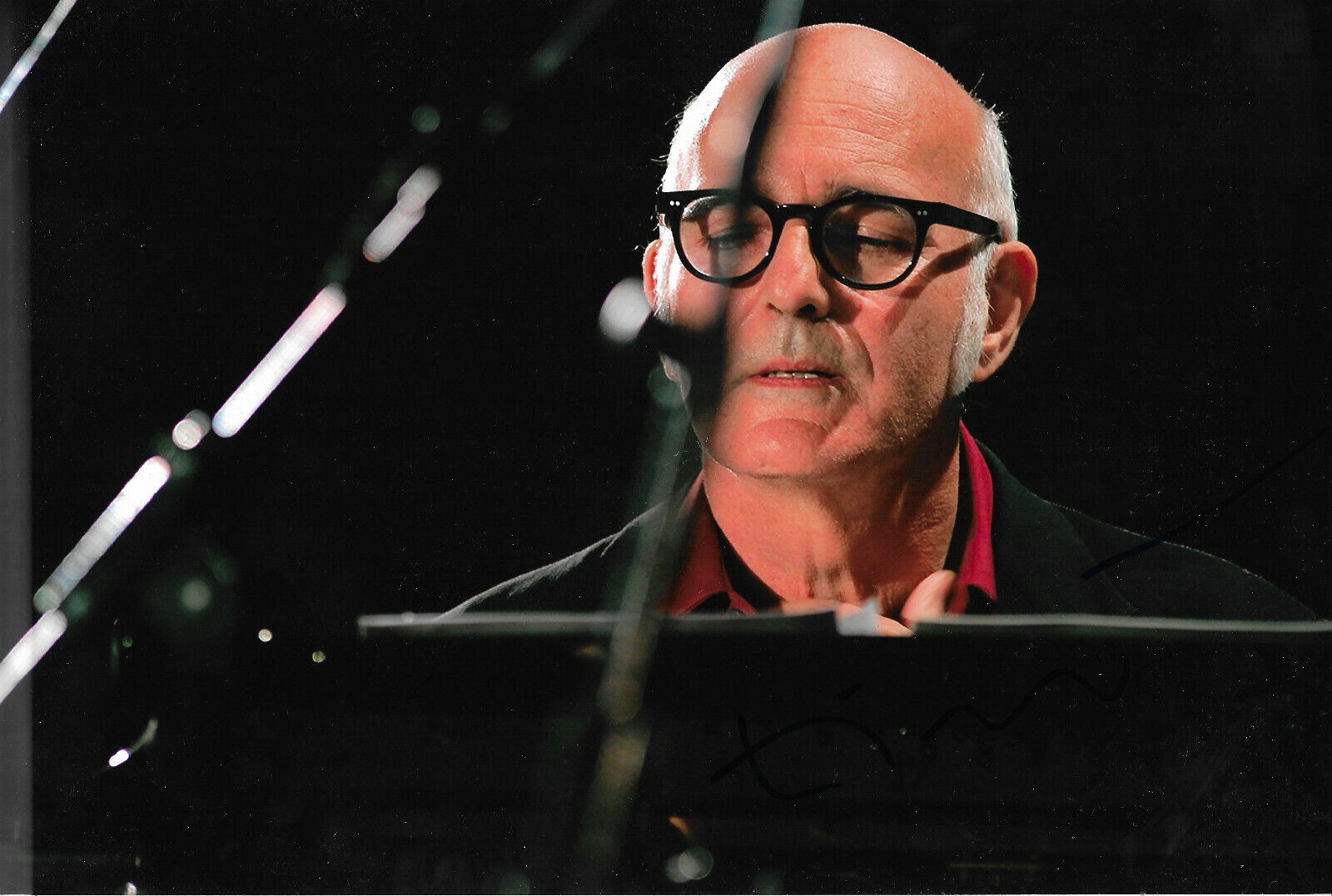 Ludovico Einaudi Pianist signed 8x12 inch Photo Poster painting autograph