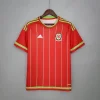 Retro 2015-16 Wales Soccer Jersey Home