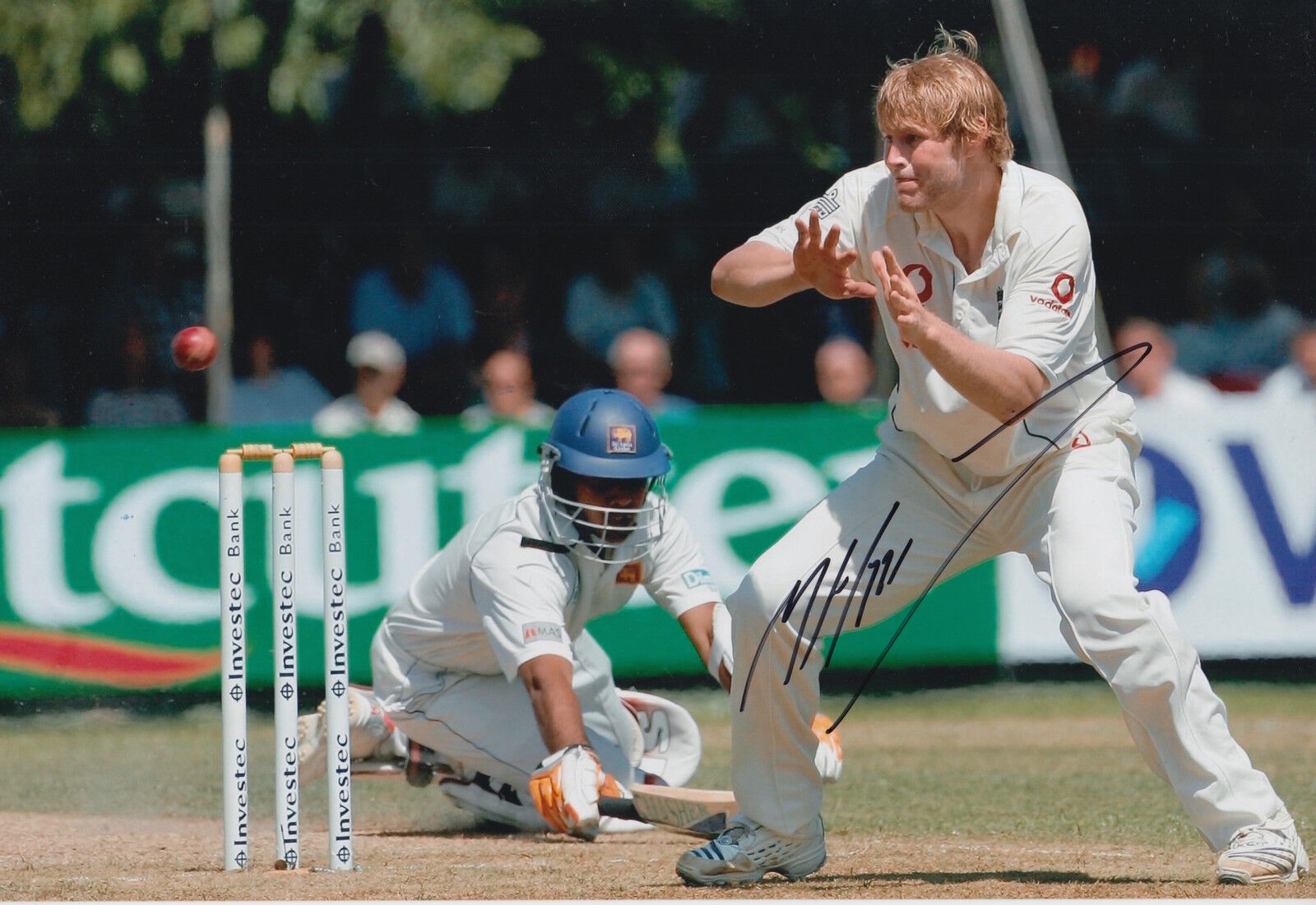 Matthew Hoggard Hand Signed 12x8 Photo Poster painting England Cricket 1.