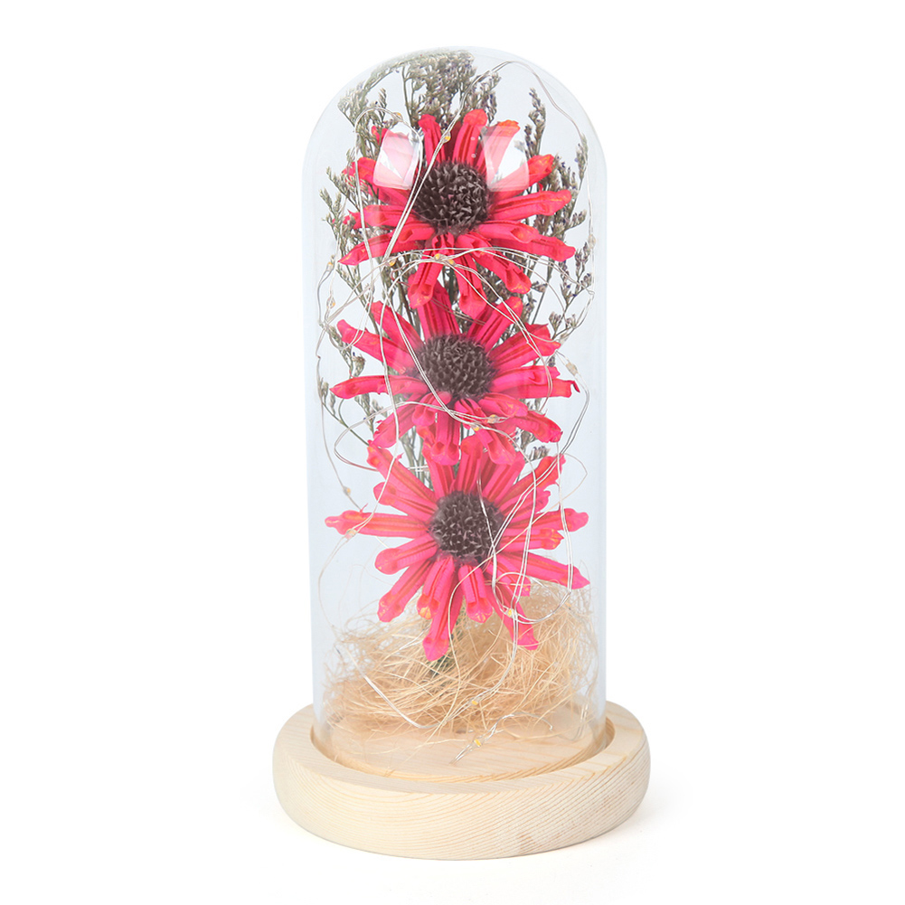 

Dried Sunflower in Glass Dome with Warm Yellow Light String Micro Landscape, Blue, 501 Original