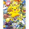 Painting By Numbers - The Pokemon(40*50cm)