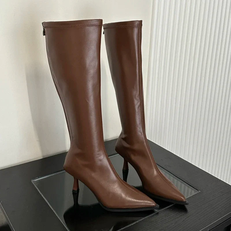 Soft Leather Pointed Toe Knee High Boots High Heels Zipper Women Pumps Ladies Long Stretch Modern Boots Aiertu