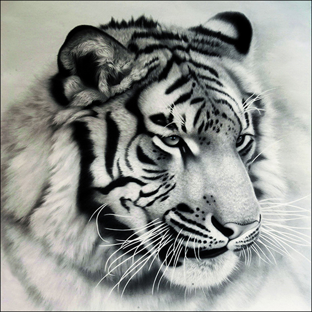 Алмазная мозаика 5д тигр белый