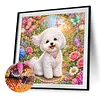 Diamond Painting -5D Full Round Drill Bichon Frise Puppy(40x40cm)