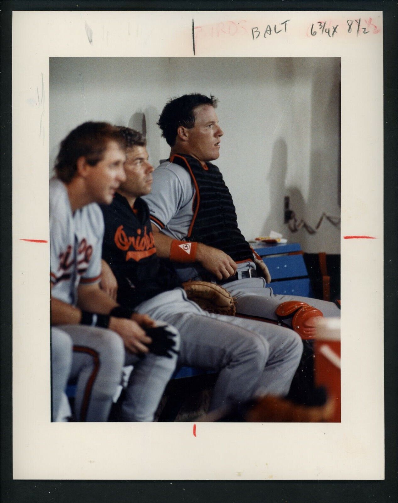 Mickey Tettleton 1989 Color Press Original Photo Poster painting Baltimore Orioles