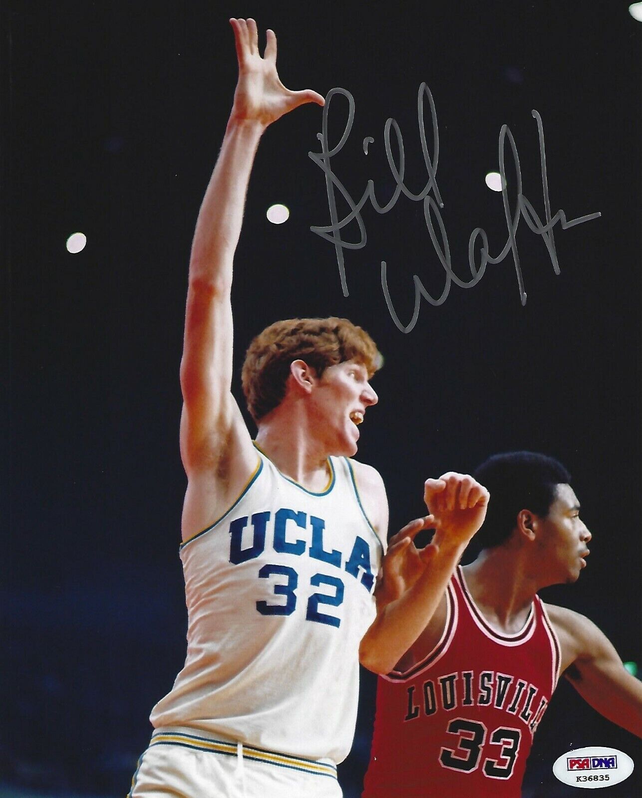 Bill Walton Signed UCLA Bruins 8x10 Photo Poster painting PSA/DNA COA Basketball Picture Auto'd