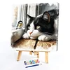 Cat-Paint by Numbers Cat 40*40CM