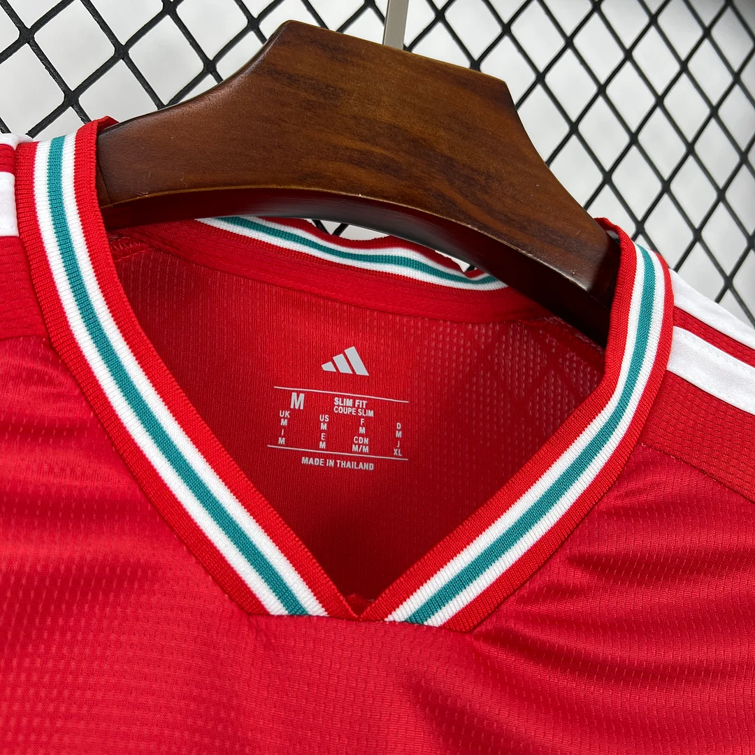 2026 Wales Home Footaball Shirt Thai Quality  