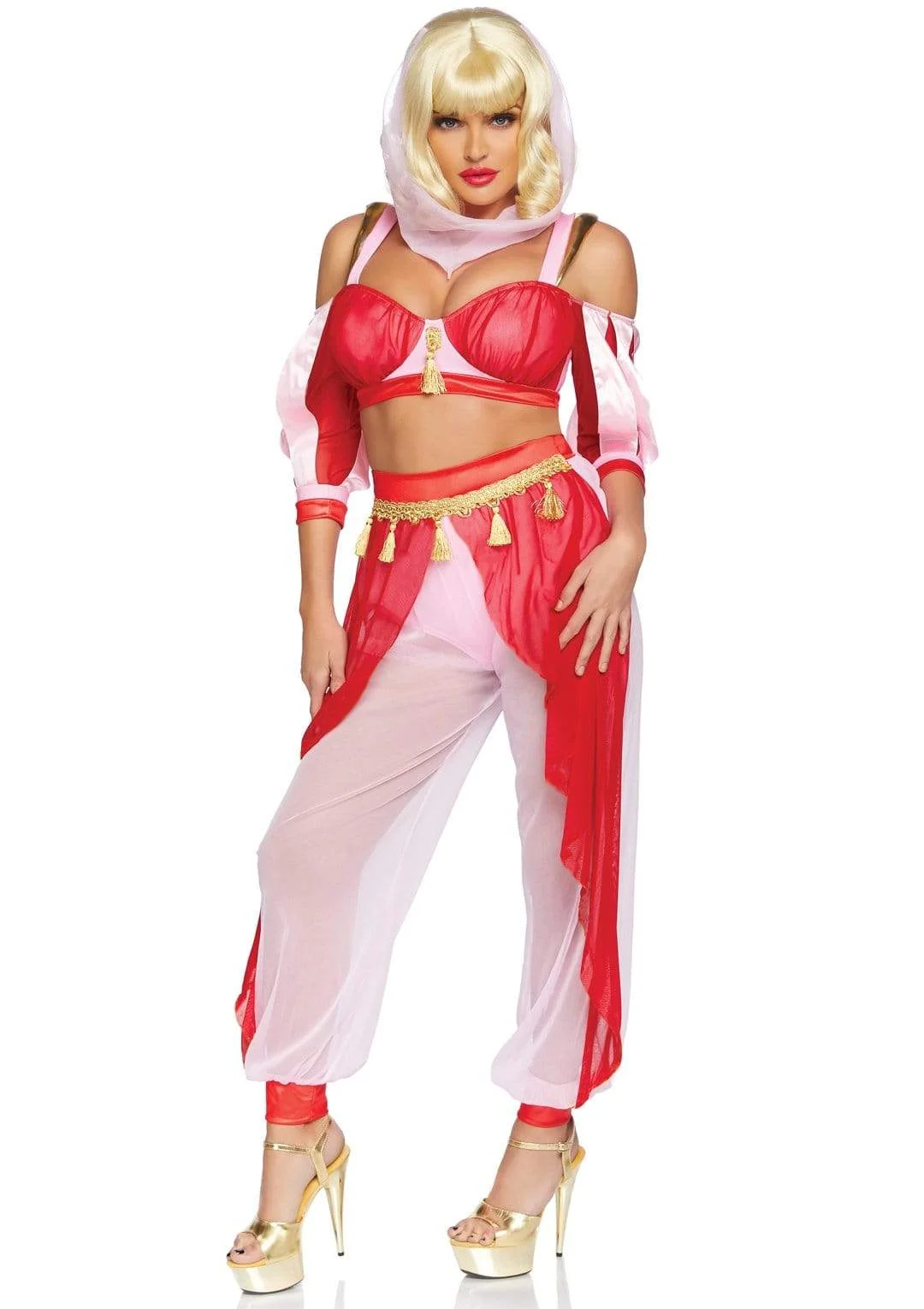 Dreamy Genie Costume