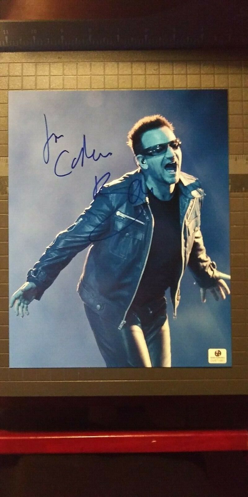 Bono signed 8x10 COA GAI