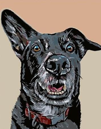 

Guard Dog – Paint By Numbers - 40*50CM, 501 Original