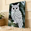 DIY Pearl Painting Owl for Home Wall Decor with Frame(30x40cm)