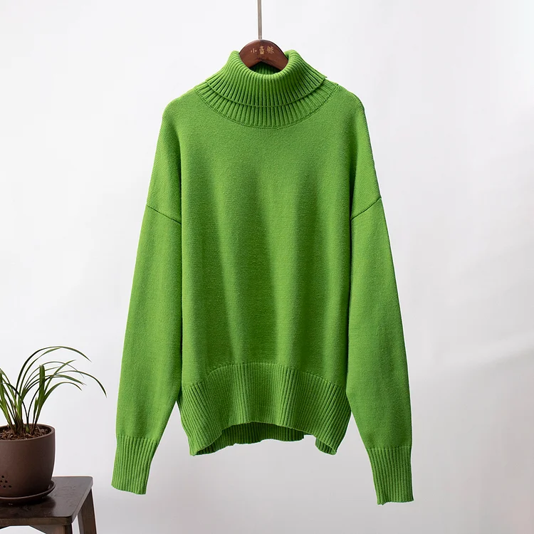 Loose Women Knitted Sweater 240130-142