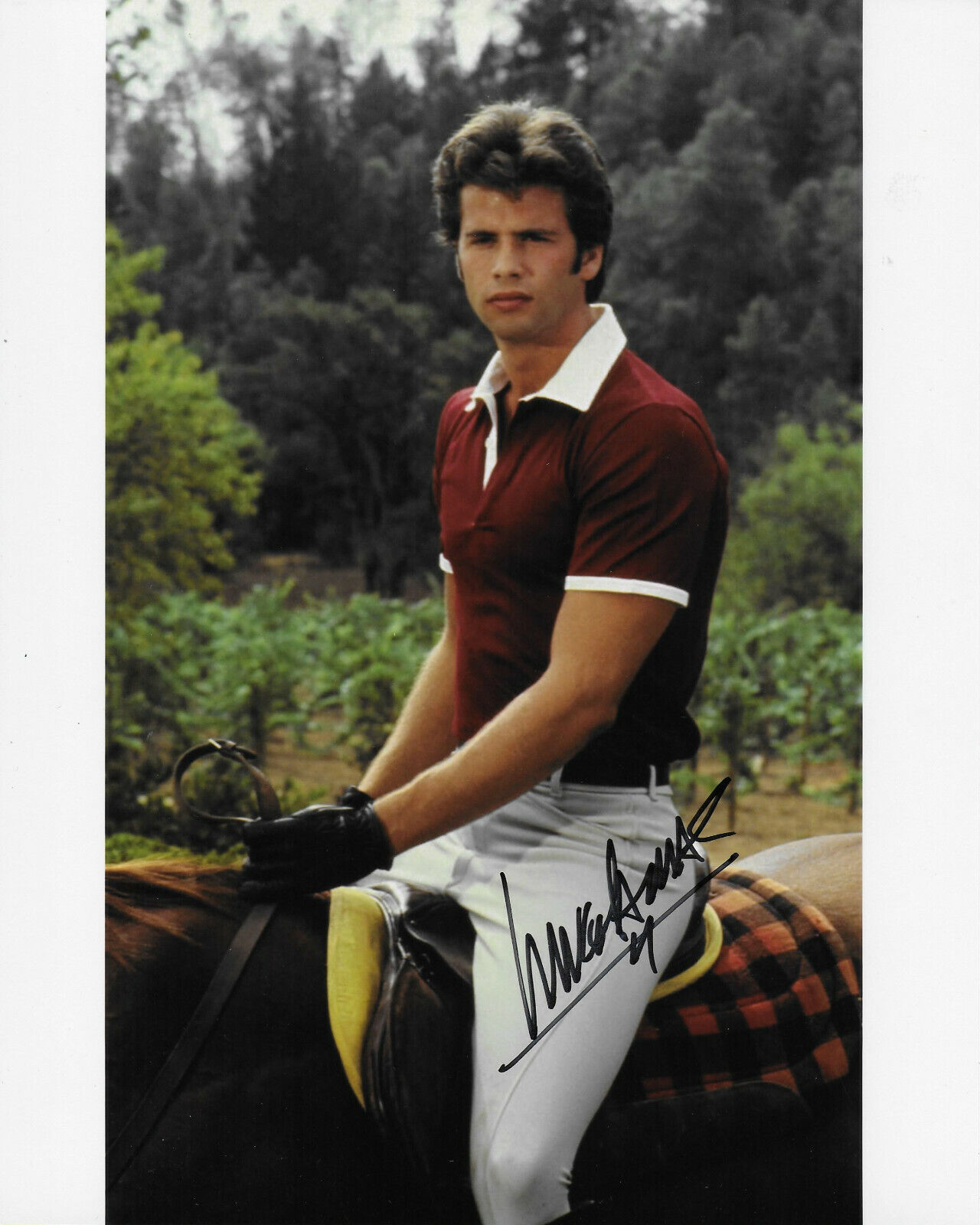 Lorenzo Lamas Original Autographed 8X10 Photo Poster painting #12 - Falcon Crest, Renegade