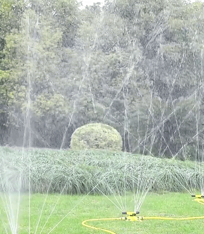 1615971164114095.gif d5.gif