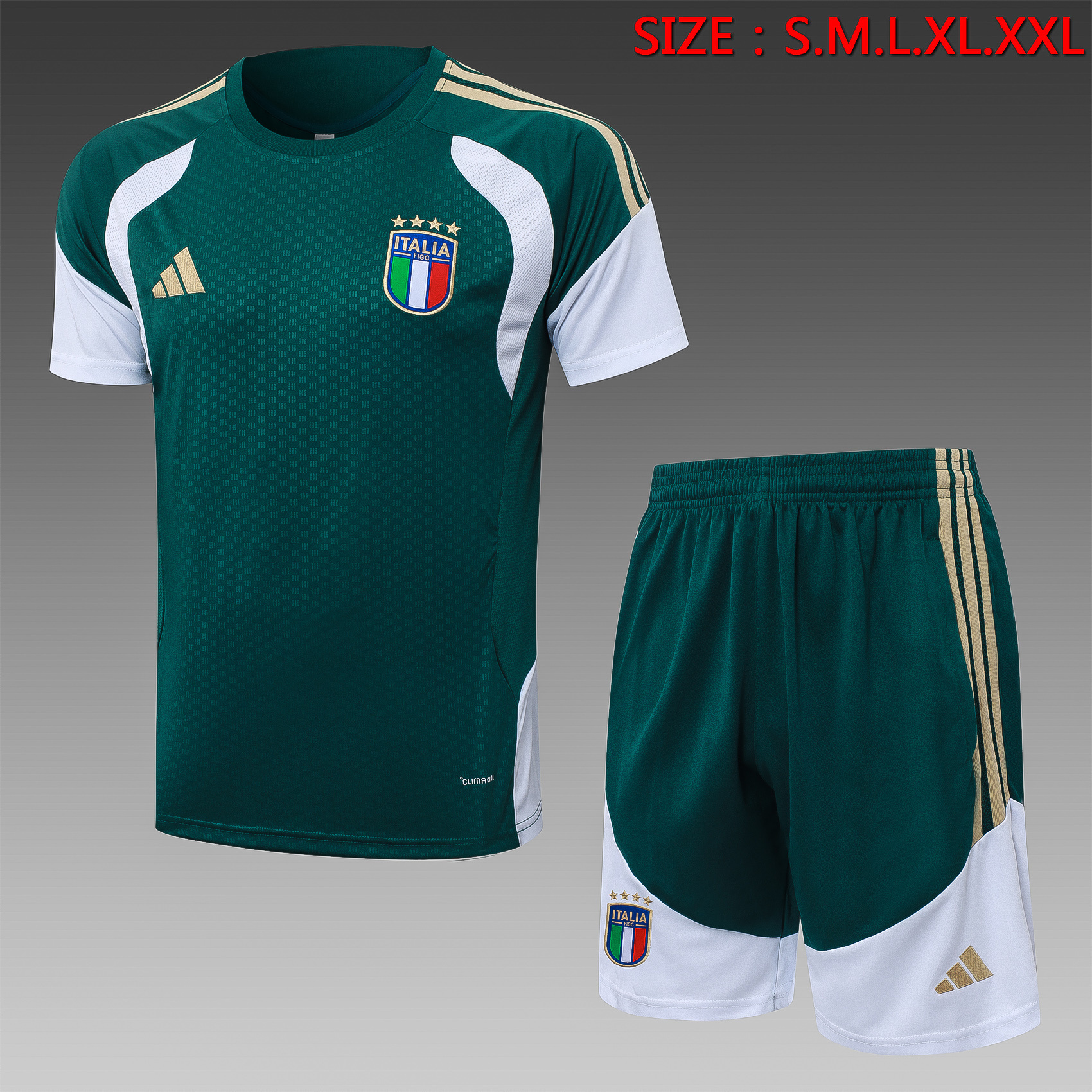 2026/2027 Italy Short sleeve green training Jersey+Shorts