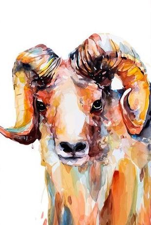 

Male Sheep – Paint By Numbers - 40*50CM, 501 Original