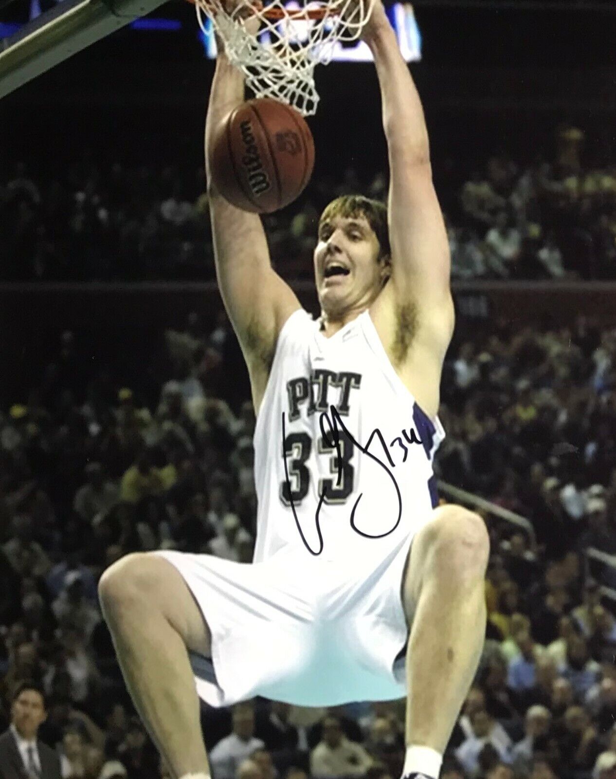 Aaron Gray Chicago Bulls Autographed 8x10 Photo Poster painting COA N1 Pitt Panthers
