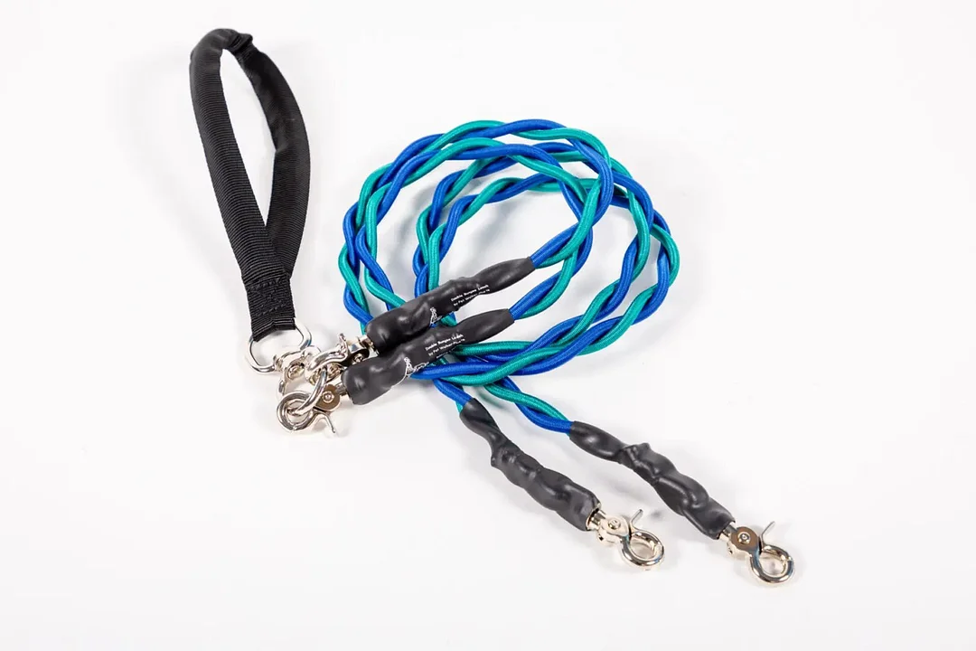 🔥Last Day: 50% OFF!🔥🐕Double Bungee Leash - 1st step training tool