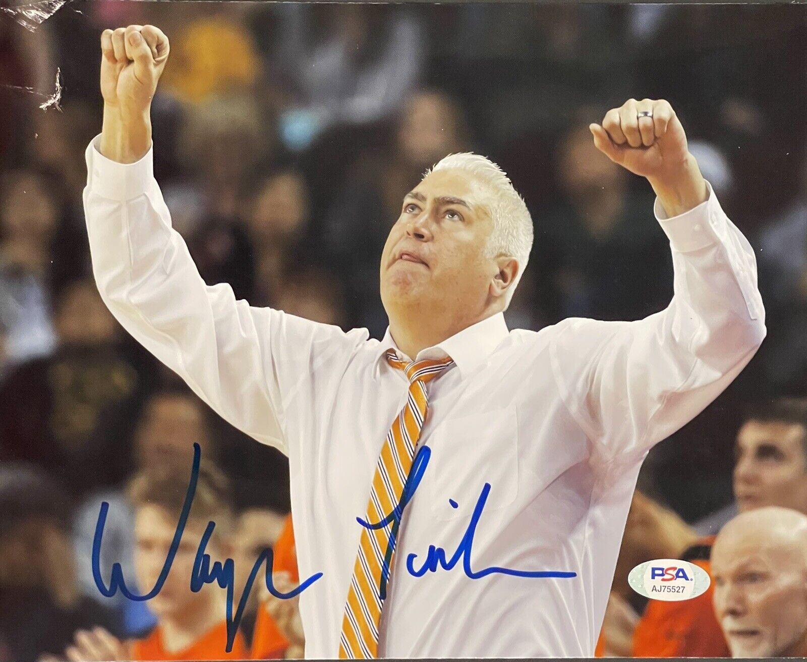 Wayne Tinkle Signed Autographed Oregon State Beavers 8x10 Photo Poster painting PSA/DNA