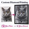 Custom Pet Diamond Painting Kit
