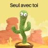 Cactus Dansant