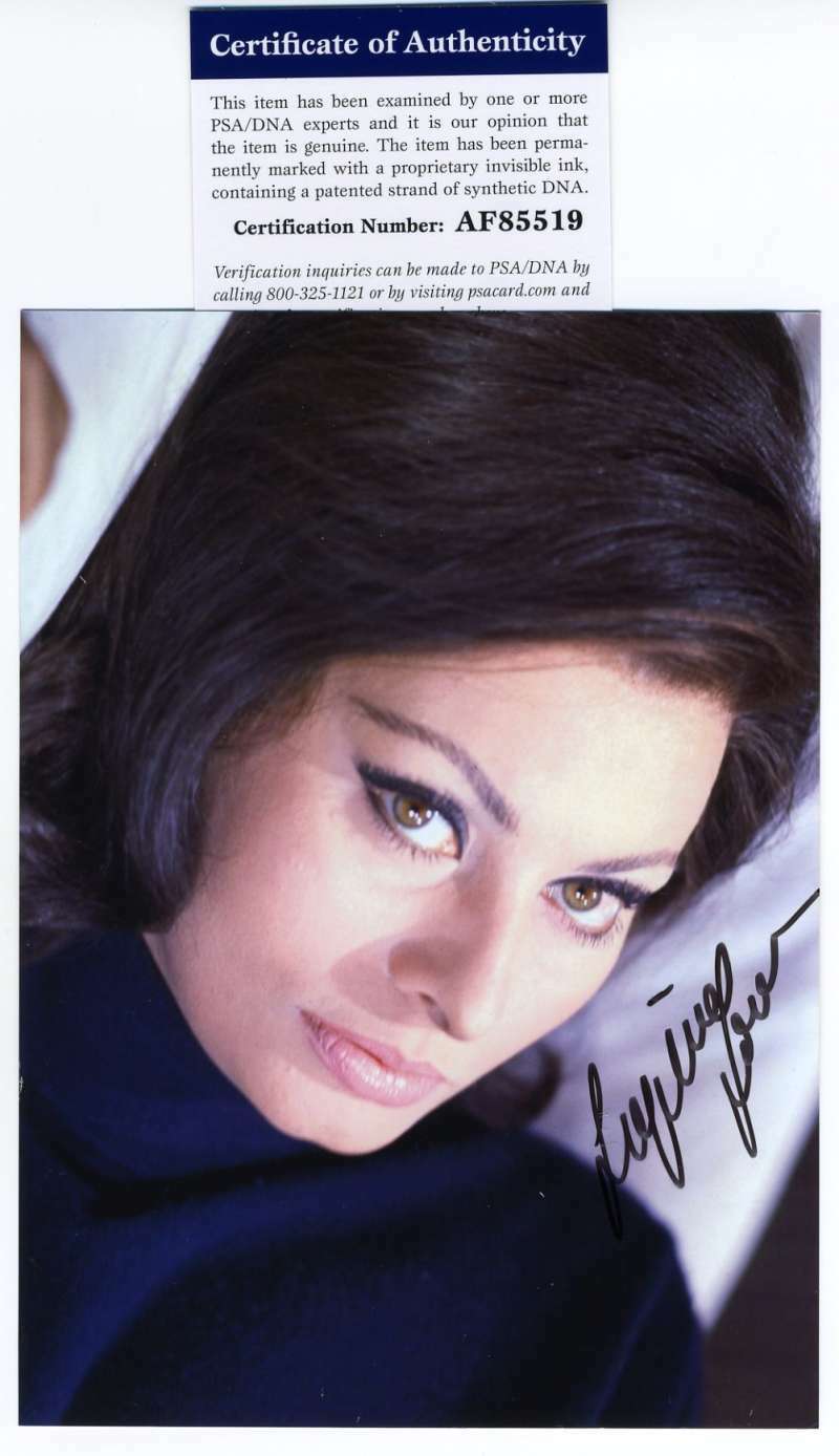 Sophia Loren Psa Dna Coa Autograph 5x7 Photo Poster painting Hand Signed