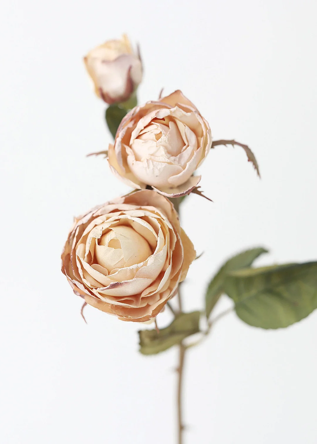 Beige Faux Dried Roses with Bud - 21"