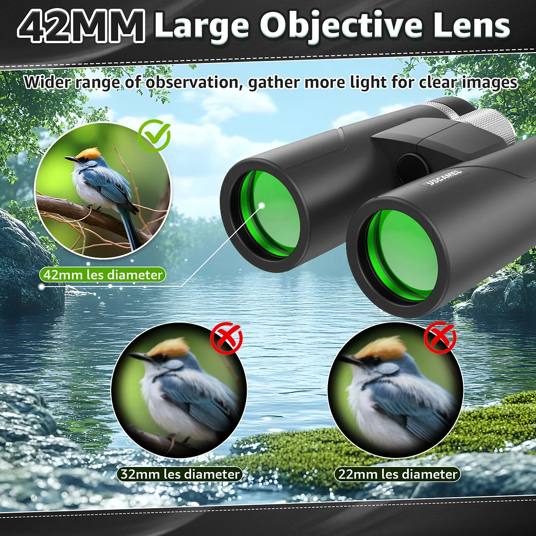  BEBANG 10x42 HD Binoculars for Adults, Large View Binoculars with Clear Low Light Vision,Binoculars for Bird Watching Travel