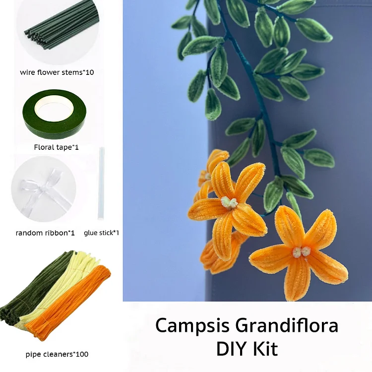 DIY Pipe Cleaners Kit - Campsis Grandiflora