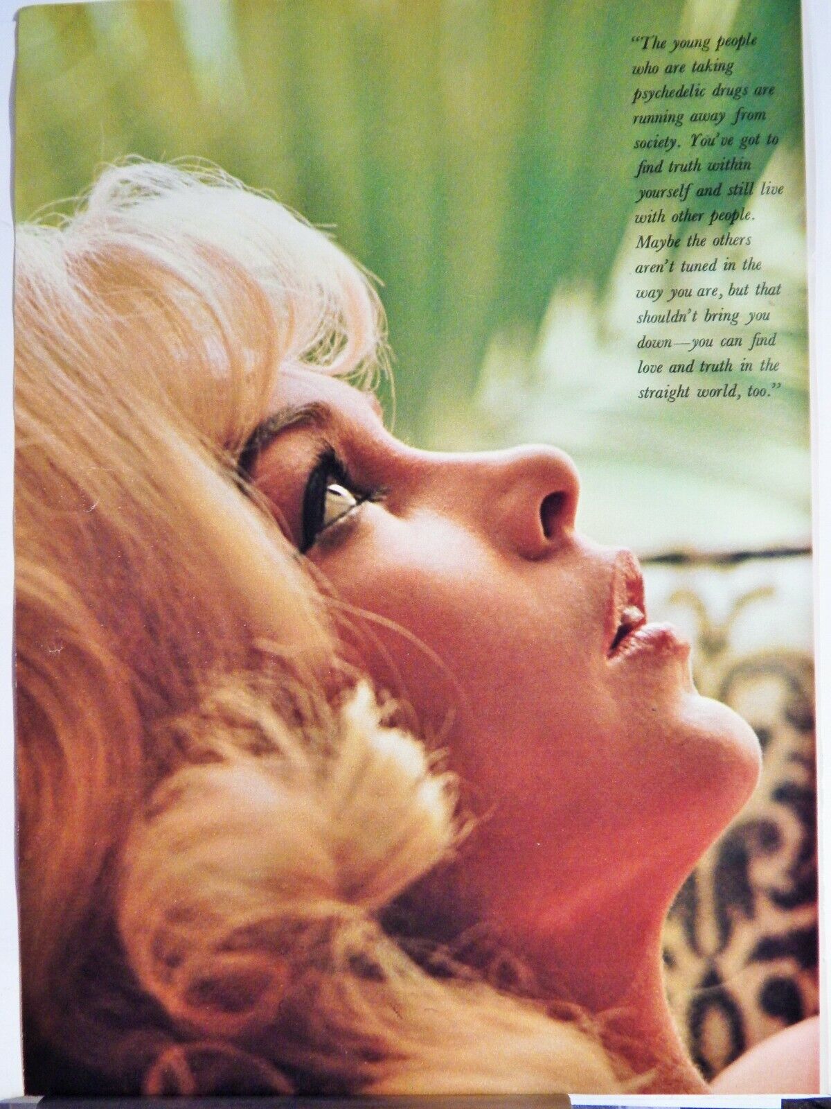 SEXY STELLA STEVENS Photo Poster paintingS & REMARKS ORIGINAL 1968 ADVERTISEMENT