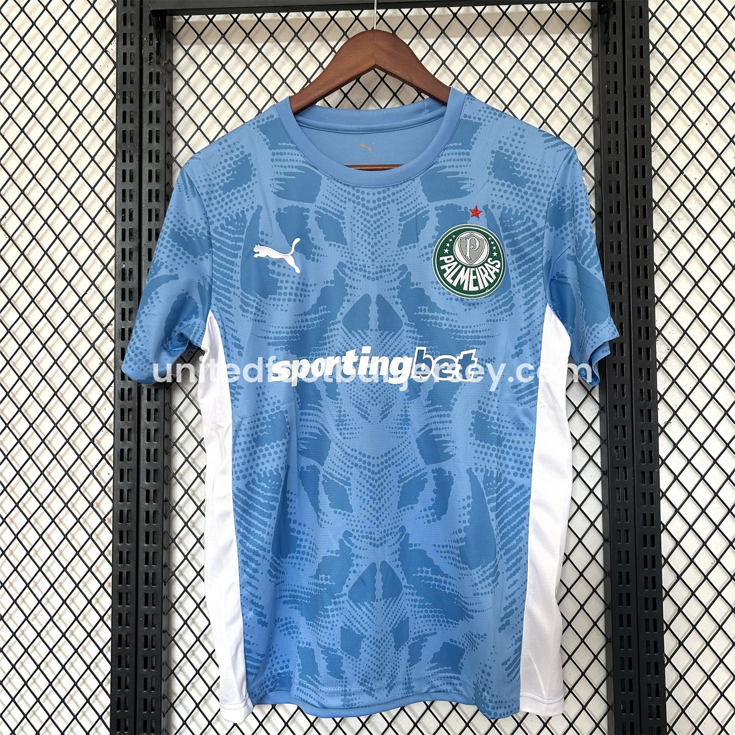 Palmeiras 25-26 Blue Goalkeeper Jersey - Fans Version