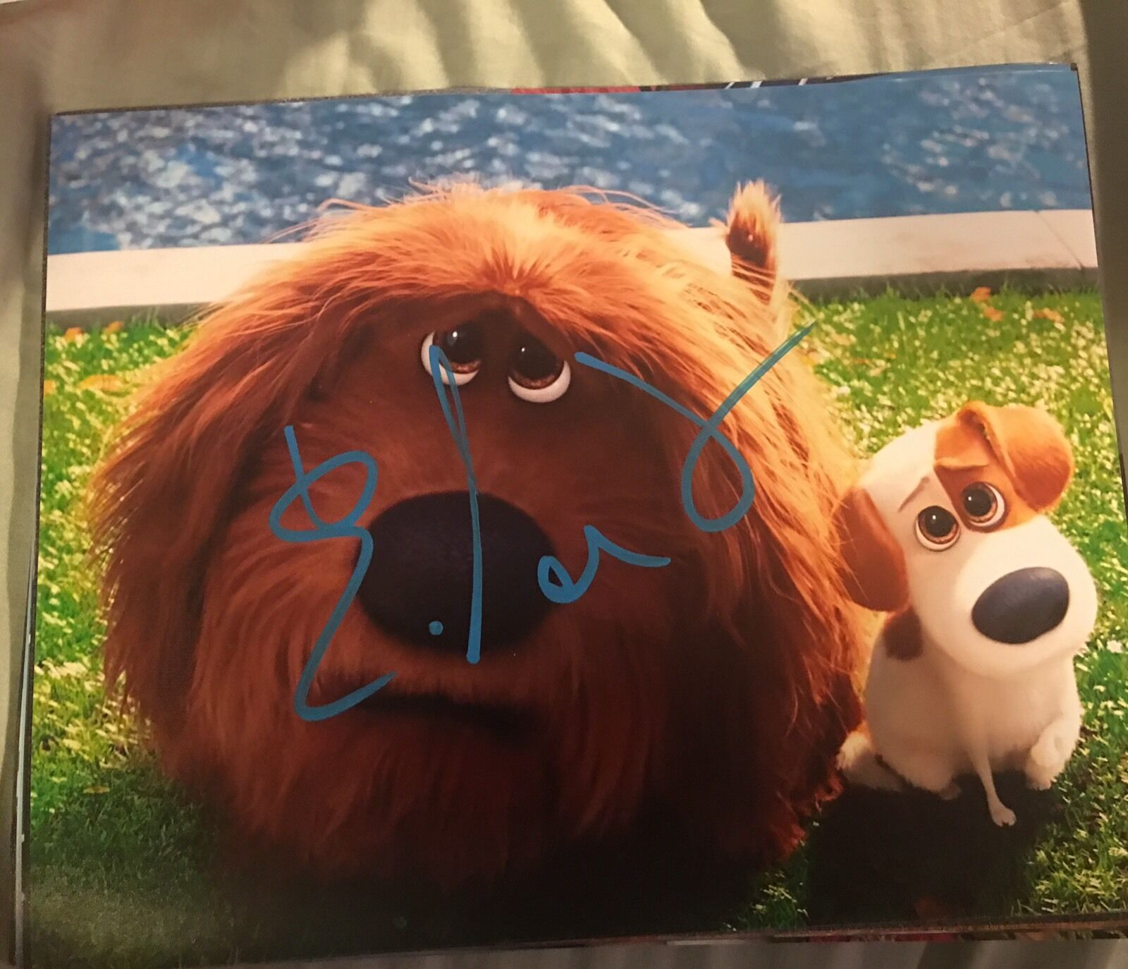 Eric Stonestreet Signed 8x10 Photo Poster painting COA Autograph Secret Life Of Pets D1