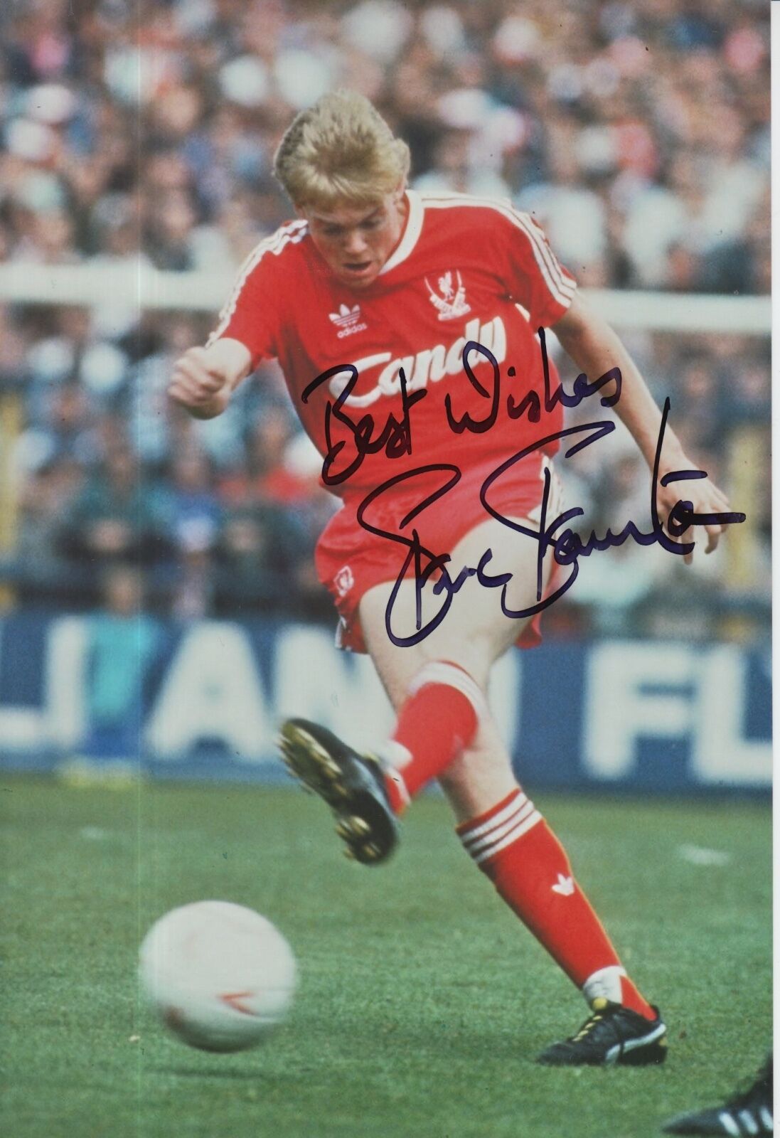 Steve Staunton Hand Signed Liverpool 12x8 Photo Poster painting.