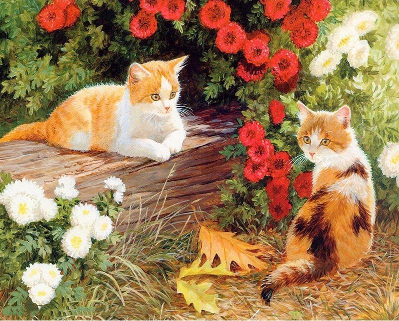 

Cute Cat – Paint By Numbers - 40*50CM, 501 Original