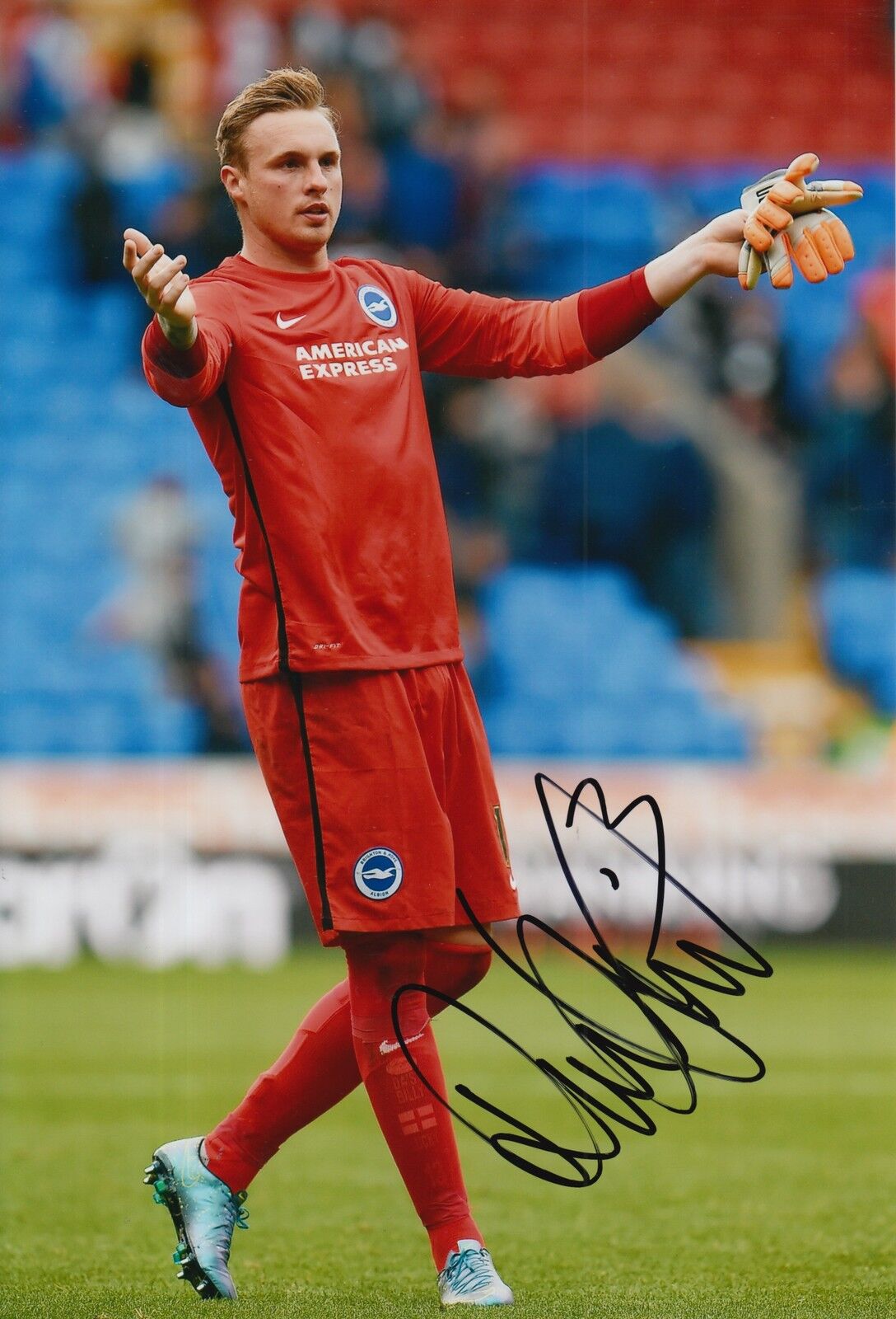 BRIGHTON & HOVE ALBION HAND SIGNED DAVID STOCKDALE 12X8 Photo Poster painting 2.