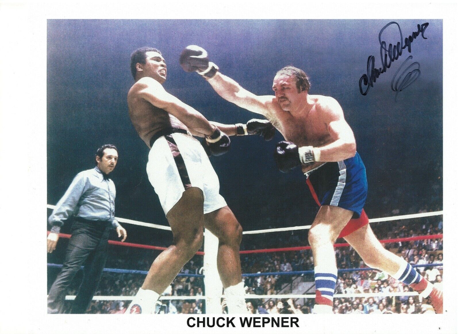 CHUCK WEPNER BAYONNE BLEEDER MUHAMMAD ALI FIGHT RARE SIGNED Photo Poster painting