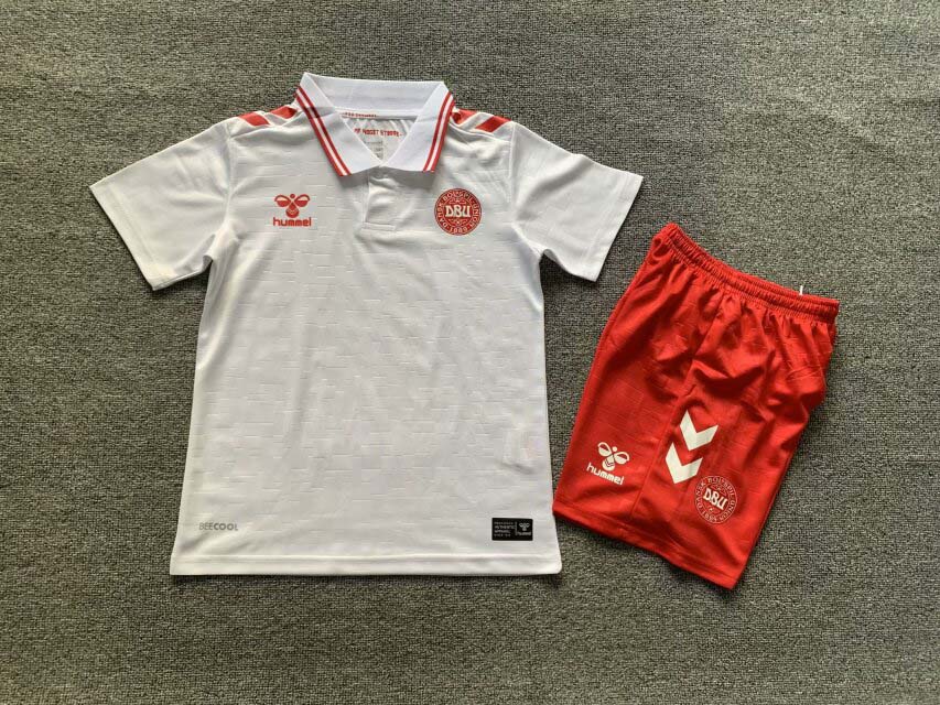 2024 KIDS Denmark Away Football Shirt 1:1 Thai Quality