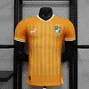 2022 Player Version C&ocirc;te d'Ivoire National Team Home Shirt