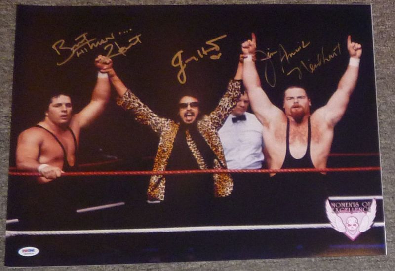 Jimmy Bret Hart Jim Neidhart Foundation Signed WWE 16x20 Photo Poster painting PSA/DNA Autograph