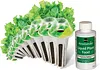 Heirloom Salad Vegetables Greens Mix Seed Pod Kit