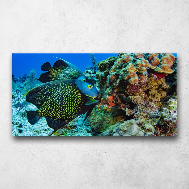 Canvas Wall Art