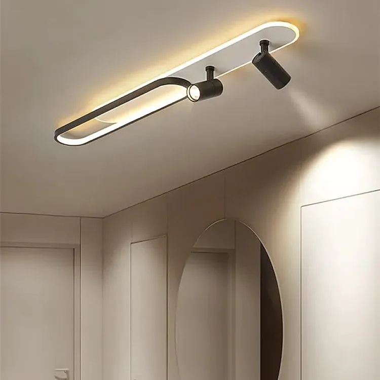 Haney Modern Ceiling Light Spotlight