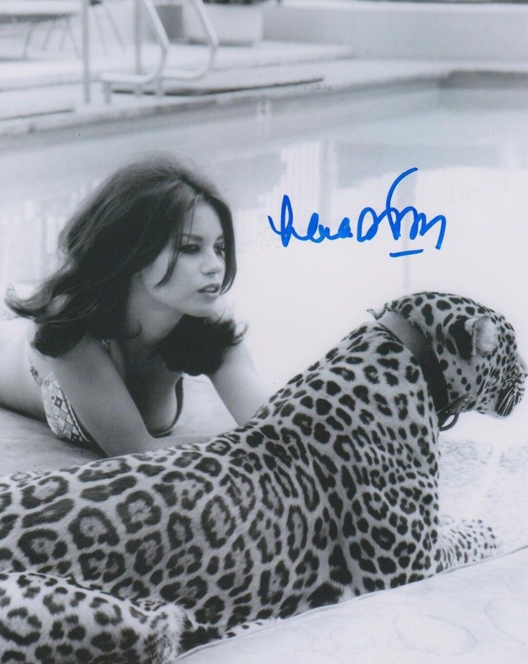 Lana Wood Signed Photo Poster painting - James Bond Babe - Diamonds are Forever - GORGEOUS G746