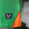 2025 Player Version Ireland Home Football Jersey 1:1 Thai Quality