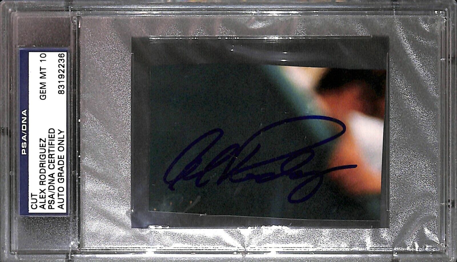 Alex Rodriguez Cut Photo Poster painting PSA/DNA COA Gem Mint 10 Autograph Yankees Baseball 3