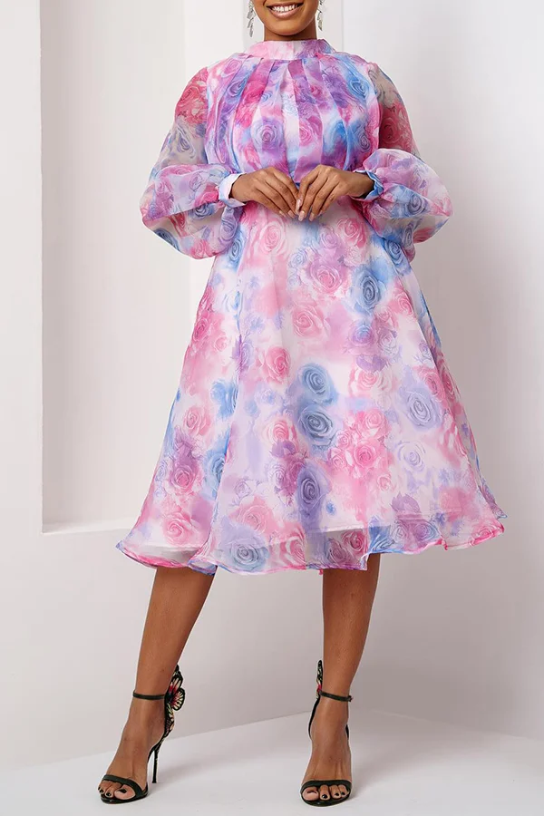 Organza Botanical Print A-Line Hem Dress