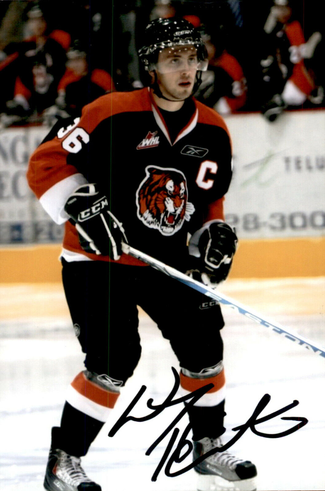 Wacey Hamilton SIGNED 4x6 Photo Poster painting MEDICINE HAT TIGERS / UTICA COMETS