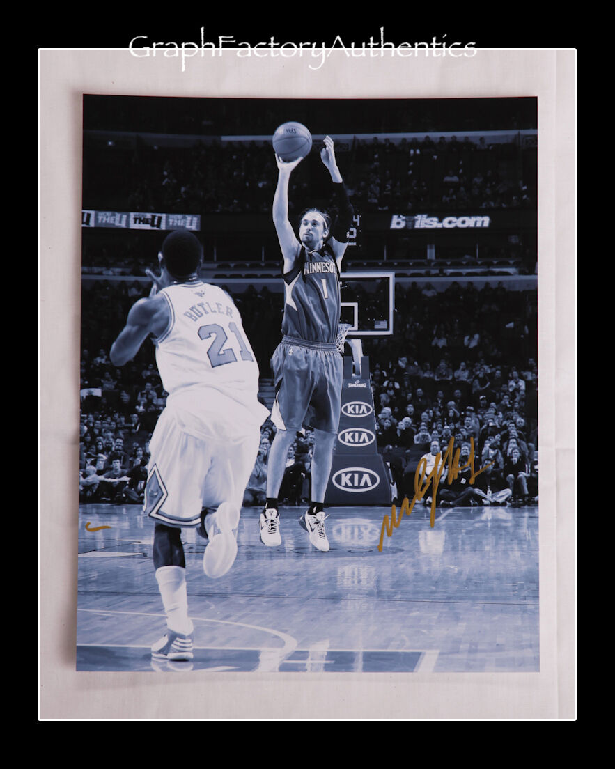 Alexey Shved *MINNESOTA TIMBERWOLVES* Signed 11x14 Photo Poster painting A3 COA GFA PROOF!