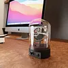 Automatic Mechanical Watch Winder Household Watch Winder